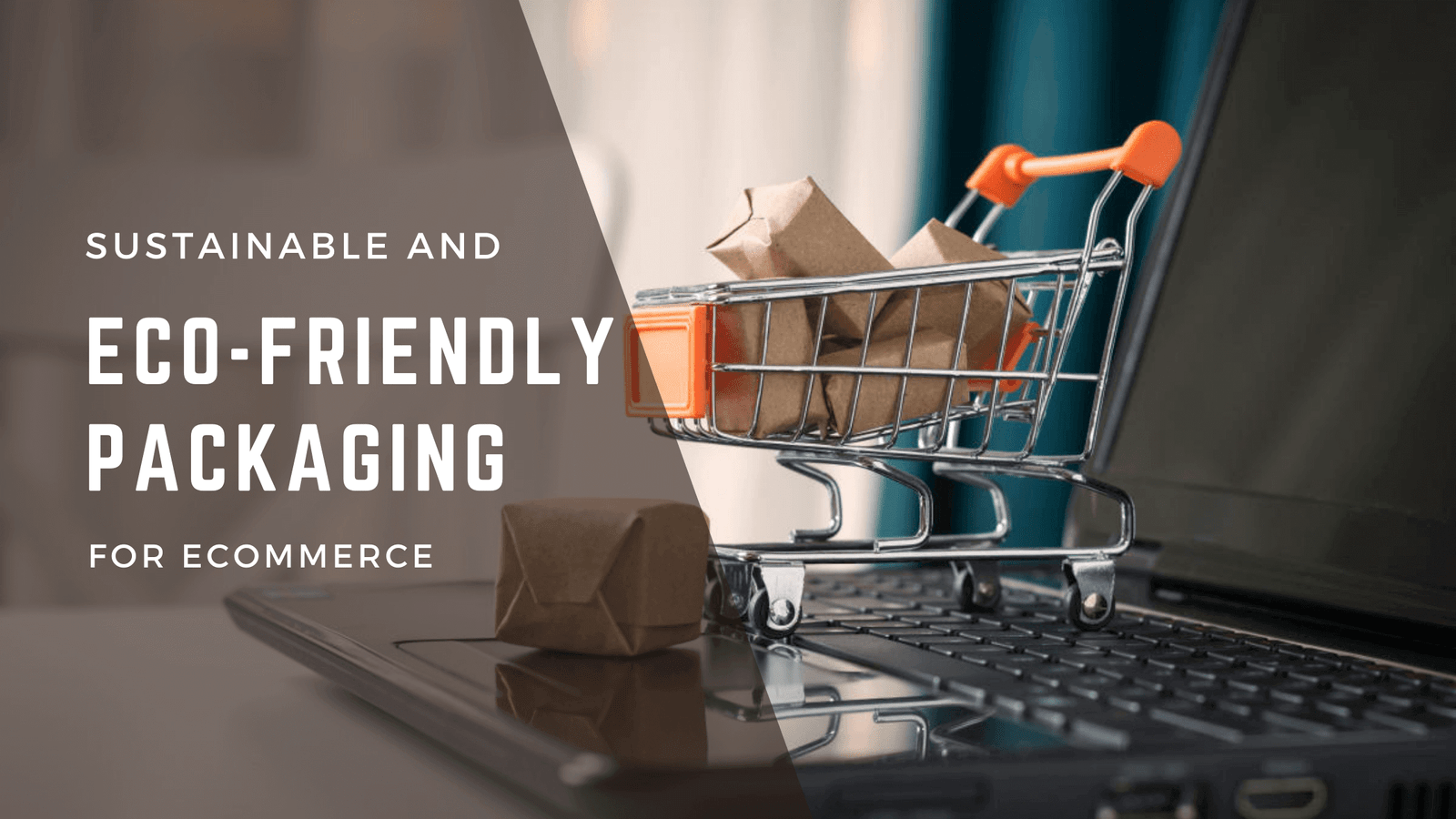 Sustainable And Eco-Friendly Packaging For Ecommerce - LifeUnited