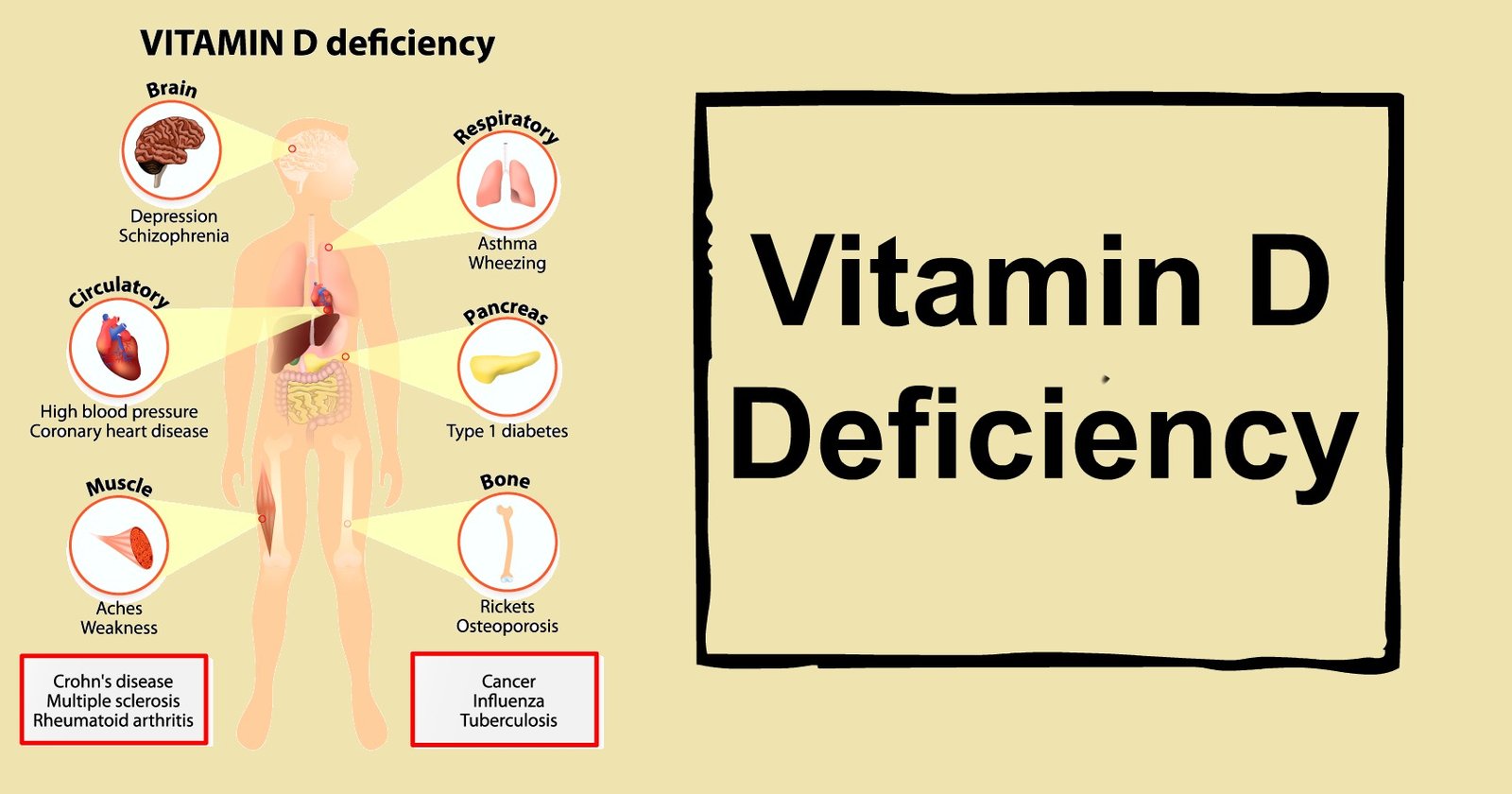 One-stop Solution for Vitamin Deficiency in the Body - LifeUnited