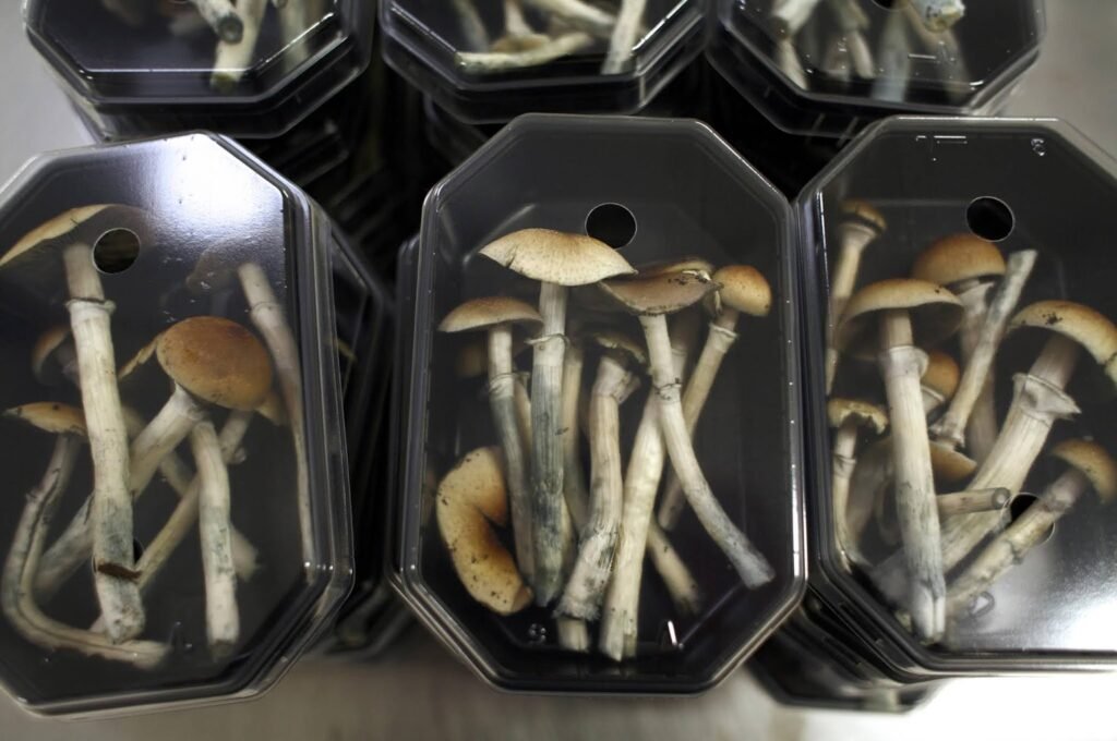 Merits Of Buying Magic Mushrooms Online