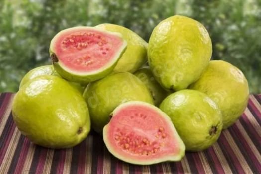 Guava Is A Fruit That Has Many Health Benefits