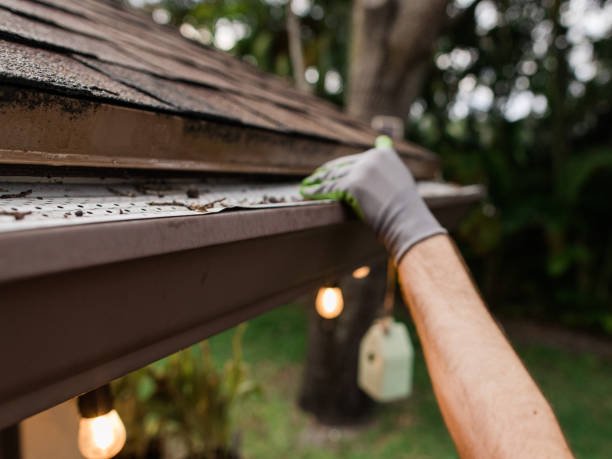 Gutter Cleaning