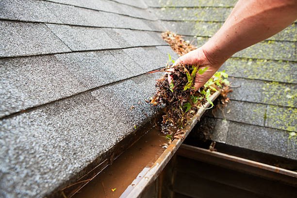 Gutter cleaning